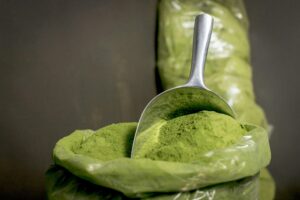 Top 10 Moringa Benefits: The Powerful Superfood for Natural Health and Wellness Moringa benefits