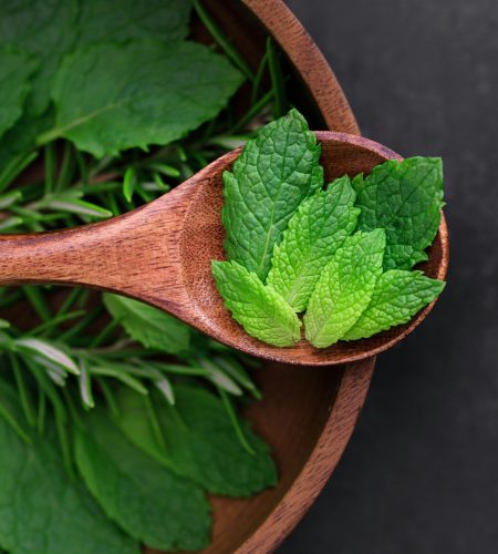 Close-up of fresh mint leaves in a wooden spoon surrounded by herbs. Ideal for culinary and organic themes.